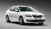 Octavia III