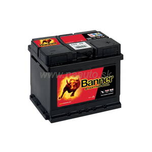 Banner Starting Bull 12V 44Ah 360A 54409